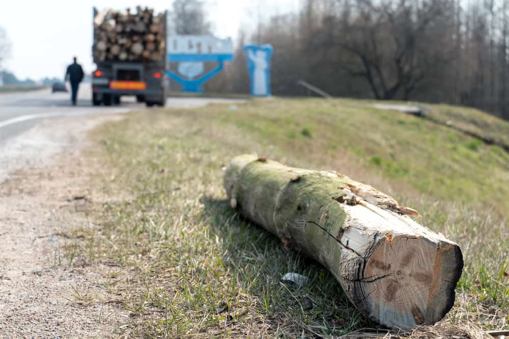 log onside of road behind improperly loaded truck